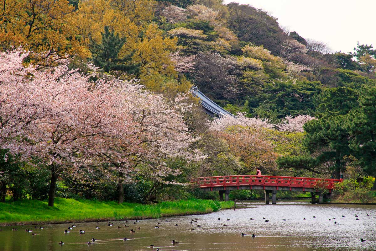 Sankeien Garden, Yokohama